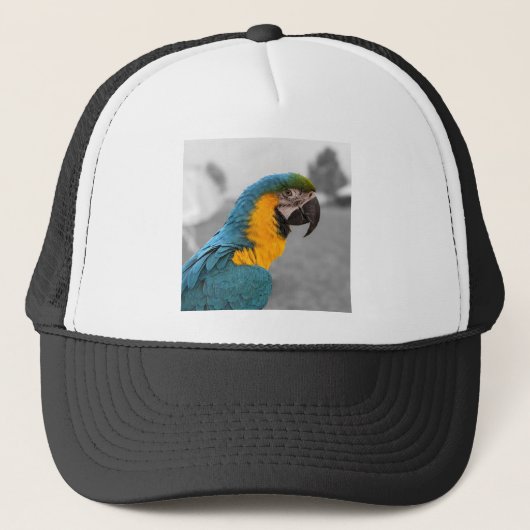 Macaw Parrot Truckerkappe (Vorderseite)