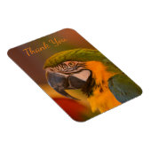 Macaw Parrot Vielen Dank Magnet (Rechte Seite)