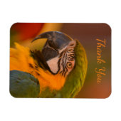 Macaw Parrot Vielen Dank Magnet (Horizontal)