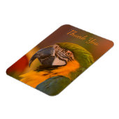 Macaw Parrot Vielen Dank Magnet (Linke Seite)
