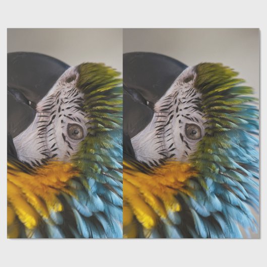 Macaw Parrot Wrapping Paper Geschenkpapier (Flach)
