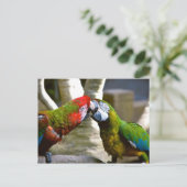 Macaw Parrots 2013 Kalender Postkarte (Stehend Vorderseite)