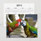 Macaw Parrots 2013 Kalender Postkarte (Vorne/Hinten)
