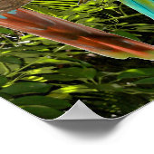 Macaw Parrots in einem tropischen Waldposter Poster (Ecke)