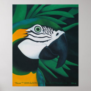 Macaw-Plakat Poster