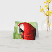 Macaw Portrait Karte (Gelbe Blume)