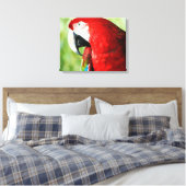 Macaw Portrait Leinwanddruck (Insitu (Schlafzimmer))
