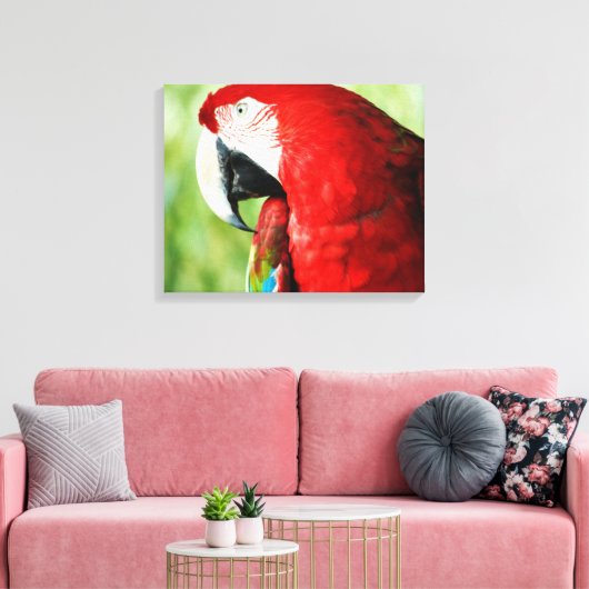 Macaw Portrait Leinwanddruck (Insitu (Wohnzimmer))