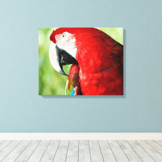Macaw Portrait Leinwanddruck (Insitu (Holzboden))