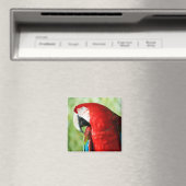 Macaw Portrait Magnet (In Situ (Geschirrspüler))