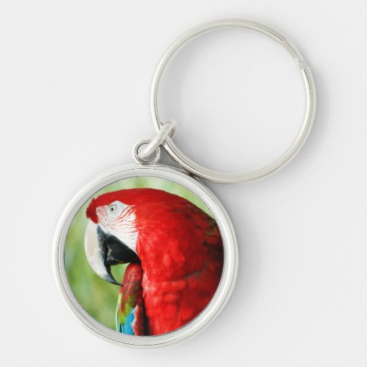 Macaw Portrait Schlüsselanhänger (Vorne)