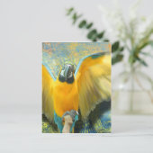 Macaw Postcard Postkarte (Stehend Vorderseite)