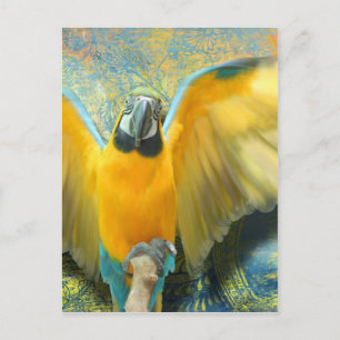 Macaw Postcard Postkarte