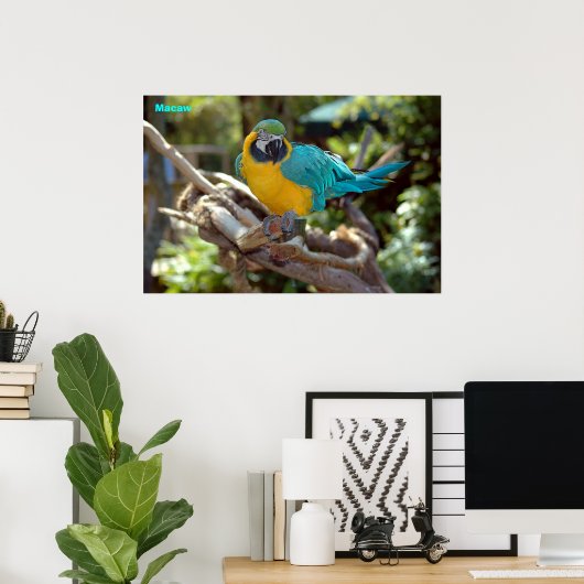 Macaw Poster (Heimbüro)