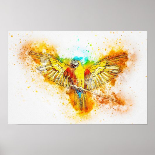 Macaw Poster (Vorne)