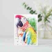 Macaw Postkarte (Stehend Vorderseite)