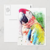 Macaw Postkarte (Vorne/Hinten)