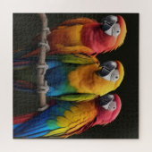 Macaw Puzzle (Horizontal)