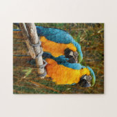 Macaw Puzzle (Horizontal)