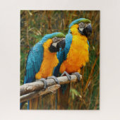 Macaw Puzzle (Vertikal)