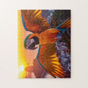 Macaw Puzzle