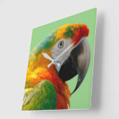 Macaw Quadratische Wanduhr (Winkel)