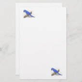 Macaw Stationery Briefpapier (Vorne/Hinten)
