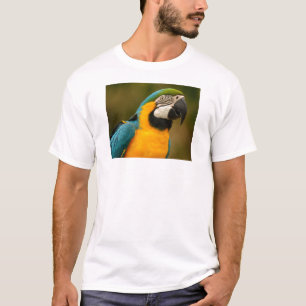 Macaw T-Shirt