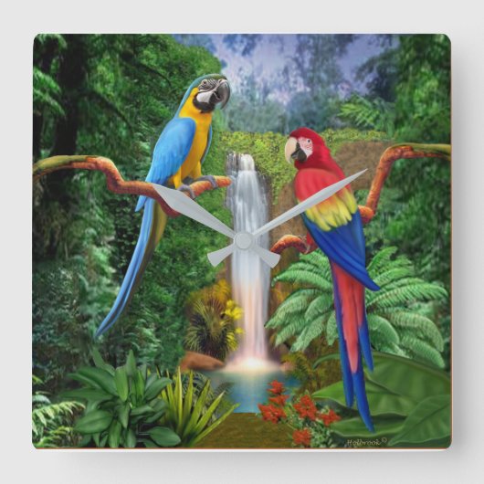 Macaw-tropische Papageien Quadratische Wanduhr (Vorderseite)