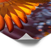 Macaw über Rio De Janeiro horizontales Poster (Ecke)