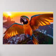 Macaw über Rio De Janeiro horizontales Poster