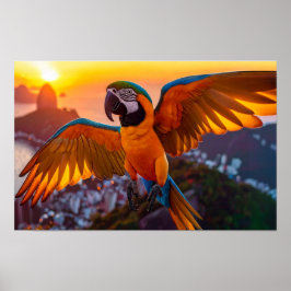 Macaw über Rio De Janeiro horizontales Poster