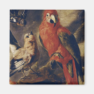 Macaw und Bullfinch Magnet