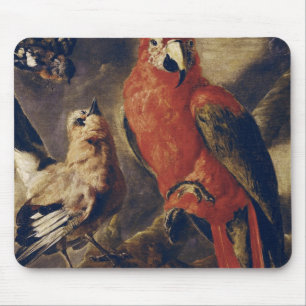 Macaw und Bullfinch Mousepad