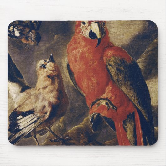 Macaw und Bullfinch Mousepad (Vorne)