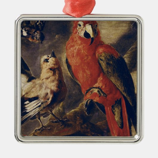 Macaw und Bullfinch Silbernes Ornament (Vorne)