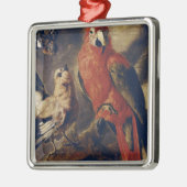 Macaw und Bullfinch Silbernes Ornament (Links)