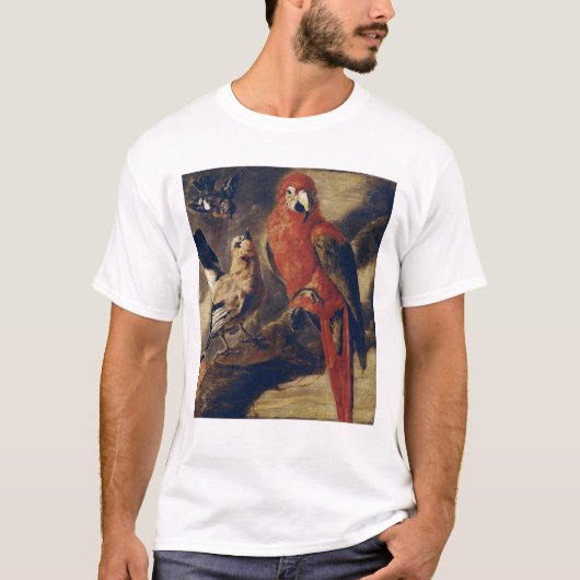 Macaw und Bullfinch T-Shirt (Vorderseite)