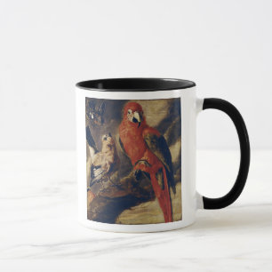 Macaw und Bullfinch Tasse