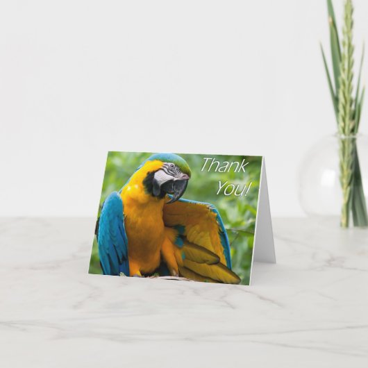Macaw Vielen Dank Notecards Dankeskarte (Vorderseite)