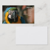 Macaw Visitenkarte (Vorne/Hinten)