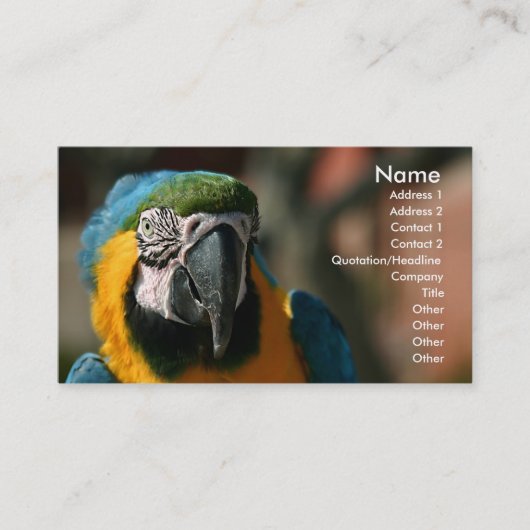 Macaw Visitenkarte (Vorderseite)