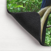 Macaw-Vögel Mousepad (Ecke)