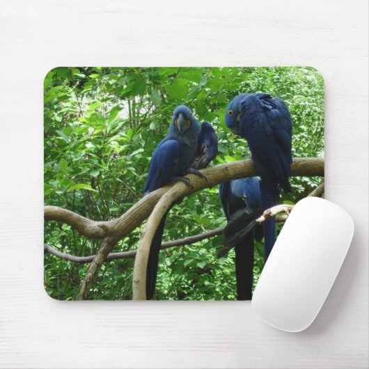 Macaw-Vögel Mousepad (Mit Mouse)