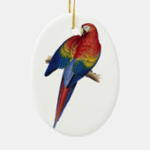 Macaw-Vogel-PapageiParakeet Keramik Ornament (Hinten)