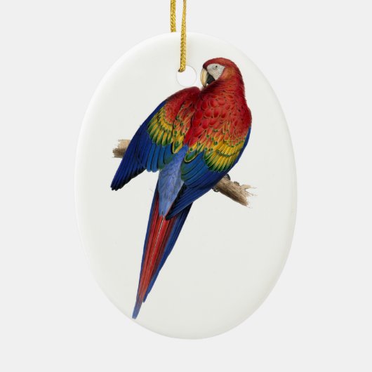 Macaw-Vogel-PapageiParakeet Keramik Ornament (Hinten)