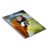 Macawanmerkungsbuch Notizblock (Rechte Seite)