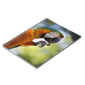 Macawanmerkungsbuch Notizblock (Linke Seite)