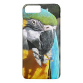 MACAWS Case-Mate iPhone HÜLLE (Rückseite)