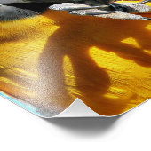 MACAWS FOTODRUCK (Ecke)